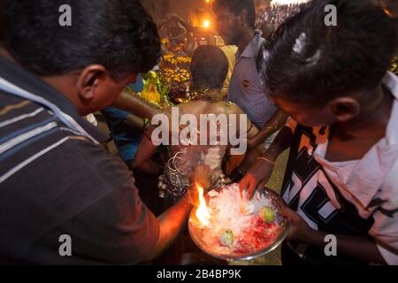 Malaysia, Selangor State, Batu Caves, Hindu-Festival Thaipusam Procession, Feier des gottes Murugan, Sohn von Shiva und Parvati, Pilger, der Hilfe erhält, um Haken zu entfernen, die in der Haut seines Rückens, innerhalb der Höhle, verankert sind Stockfoto