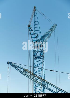 Zwei blaue Kräne über blauem Himmel. Stockfoto
