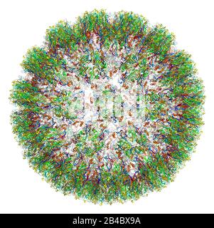 3D-Struktur des humanen Papillomavirus Typ 16, assoziiert mit Krebserkrankungen. PDB 3J6R Stockfoto