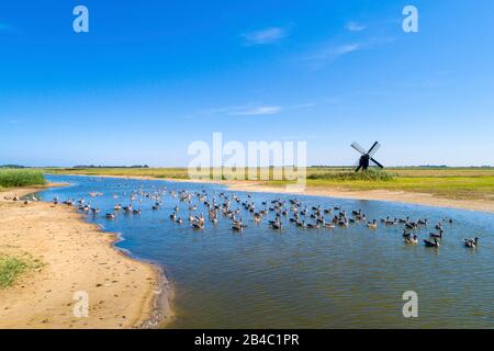 Kleine Mühle auf der holländischen Insel Texel Stockfoto