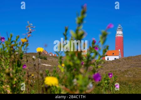 Der Leuchtturm Eierland am nördlichsten Punkt auf der Insel Texel. Es wurde 1864 erbaut und ist fast 35 Meter hoch. Stockfoto