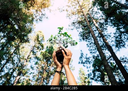 Umwelt und rettet den Planeten, der ein Baumkonzept mit zwei Menschenhänden entwickelt, die einen kleinen Baum mit natürlichem Wald herum zeigen - die Feier des Erdtags für die Zukunft Stockfoto