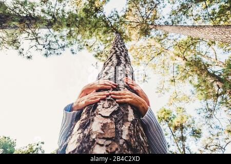 Menschen, die Bäume vor dem Entwaldungskonzept schützen, mit einigen hochrangigen kaukasischen Händen, die mit Liebe eine Kiefer im Holz umarmen - Erdtag und retten die positive Botschaft des Planeten Stockfoto