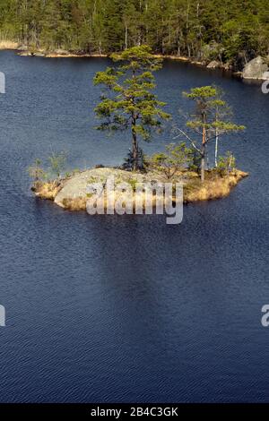 Tiresta durch National Park in der Nähe der Stadt Stockholm Stockfoto