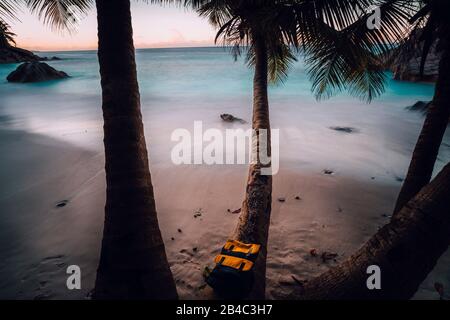 Malerische blaue Stunde am Traumstrand in anse Patates auf den La Digue Seychellen. Ruhig romantische Atmosphäre, schöne Palmen. Lange Belichtung. Stockfoto