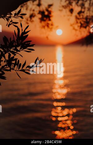 Silhouette Olive Baum Zweig am Morgen warmes Sonnenaufgang Licht. Sonnenform über dem Mittelmeer. Sonnenstrahlen reflektieren Bokeh Strahlen auf gerippter Wasseroberfläche in frühen Stunden. Stockfoto