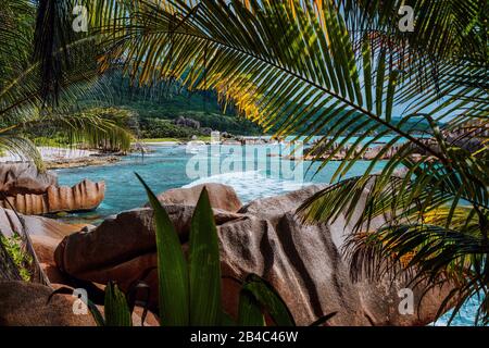 Tropische abgeschiedenen Strand von Natur aus Laub auf die Trekking Tour gerahmt durch den Dschungel versteckte Marron Strand, La Digue, Seychellen. Stockfoto