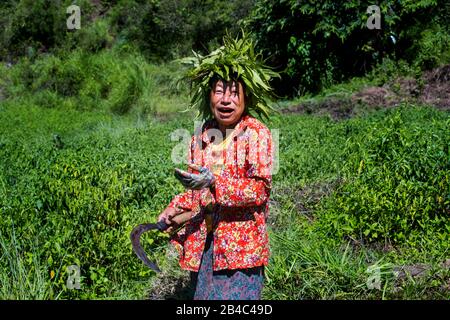 Fanny Frau mit einer Hacke und einer Sichel von Blättern im Wangdue Phodrang Punakha Tal Bhutan. Stockfoto