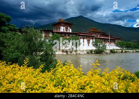 Das Kloster Punakha Dzong, das bhutanische Himalaya-Gebirge, Wurde ursprünglich in 1300 Jahren erbaut. Heilige Stätte für bhutanische Menschen an den Flüssen Phochu und Mochu, Blau-Gree Stockfoto