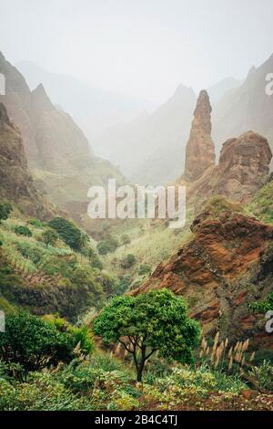 Berggipfel des Xo-Xo-Tals der Insel Santa Antao, Kap Verde. Viele kultivierte Pflanzen wachsen im Tal zwischen hohen Felsen. Arides und Erosion Berggipfel Sonnenlicht. Sahara Staub in der Luft. Stockfoto