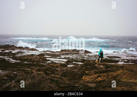Foto mit einem Hund auf der Suche nach Motiv. Wellen schlagen vulkanischen Felsküste. Sahara Staub in den Himmel. Santo Antao, Kap Verde. Stockfoto