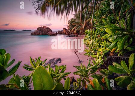 Wunderschöner romantischer Sonnenuntergang, roter Himmel auf der Insel Seychelles Paradise. Granitfelsen, Palmen und weißer Sandstrand. Stockfoto