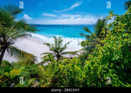 Fantastischer tropischer Strand Petite Anse mit üppiger Vegetation auf der Insel La Digue, den Seychellen. Stockfoto