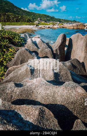 Einzigartige, große Granitfelsen in üppigem Grün an der malerischen tropischen Küste. Grand L Anse, La Digue, Seychellen. Stockfoto