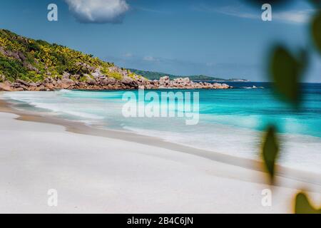 Petite Anse, La Digue, Seychellen. Tropischen weißen Sandstrand Paradise Beach mit türkis gefärbte Wasser auf hellen sanny Tag. Stockfoto