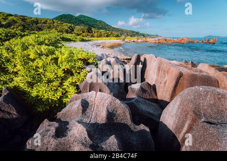 Natürlicher tropischer und isolierter Strand mit großen Felsen aus Granit, üppiges Laub an einem sonnigen Tag, Grand L Anse, La Digue. Seychellen Stockfoto