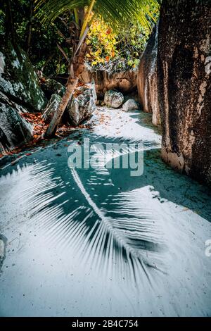 Fußweg zwischen großen Felsbrocken aus Granit auf Anse Source d'Argent, La Digue Insel Seychellen. Kontrastschatten des Palmblatts auf dem Boden. Urlaubsreisekonzept. Stockfoto
