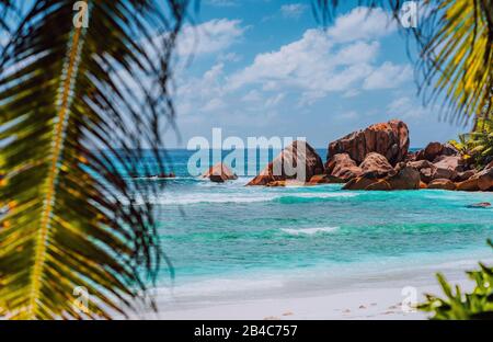 Großartige Lage für einen entspannten Strandtag auf der tropischen Insel. Urlaubskonzept. Himmlisches Platzparadies, Traumurlaub. Stockfoto