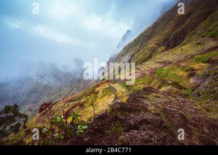 Zerklüfteter Berggipfel mit grünem Gras überwuchert und vom Nebel umgeben. Einige Pflanzen wachsen im Vordergrund. Xo-Xo-Tal, Insel Santo Antao, Kap Verde Cabo Verde. Stockfoto