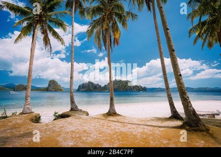 El Nido Beach Paradise: Pinagbuyutan Insel mit Palmen. Palawan, Philippinen. Stockfoto