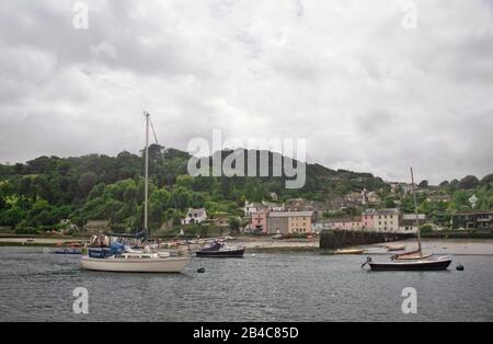 Bunte Häuser am Fluss: Dittisham aus dem Fluss Dart, South Devon, England, Großbritannien Stockfoto