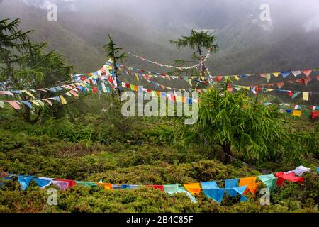 Buddhistische Gebetflaggen in den nebeligen bergen des himalayas vom Cheli La Pass Bhutans höchste motorable Straße nach Paro Bhutan Stockfoto