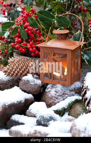Stillleben mit roten Beeren, rustikaler Hirschlaterne und etwas Schnee Stockfoto
