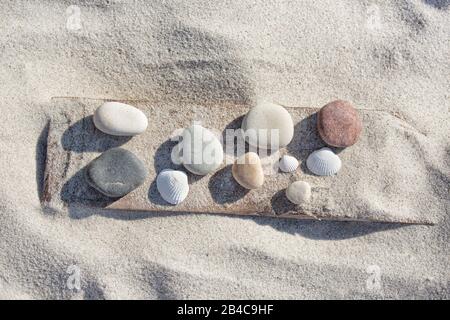 Kieselsammlung auf einem Stück Treibholz im Sand an einem sonnigen Tag Stockfoto