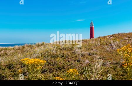 Der Leuchtturm Eierland auf der Nordspitze der Insel Texel, Er wurde 1864 erbaut und ist fast 35 Meter hoch. Stockfoto