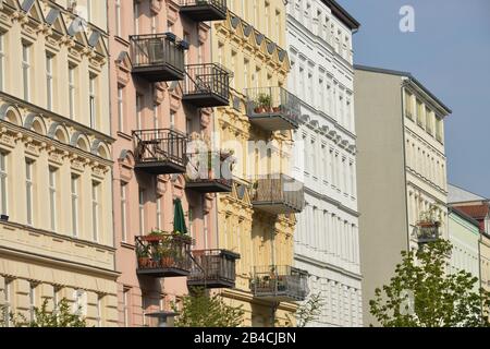 Altbau, Oderberger Straße, Prenzlauer Berg, Berlin, Deutschland Stockfoto