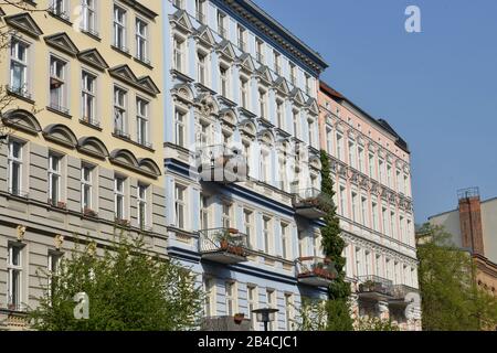 Altbau, Oderberger Straße, Prenzlauer Berg, Berlin, Deutschland Stockfoto