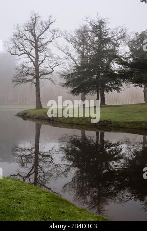 Reflexion von Bäumen im Wasser am nebligen Morgen Stockfoto