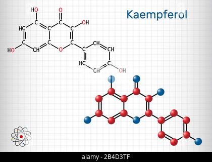 Kaempferol. C15H10O6-MOLEKÜL. Es ist Antioxidationsmittel, natürliches Flavonol, Typ des Flavonoids. Strukturelle chemische Formel und Molekularmodell. Blatt Papier Stock Vektor