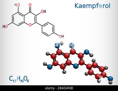 Kaempferol. C15H10O6-MOLEKÜL. Es ist Antioxidationsmittel, natürliches Flavonol, Typ des Flavonoids. Strukturelle chemische Formel und Molekularmodell. Vektor illusstra Stock Vektor