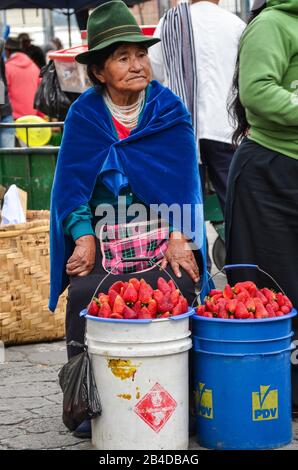 Eine ecuadorianische Frau verkauft Erdbeeren auf dem Markt, Guayaquil Stockfoto