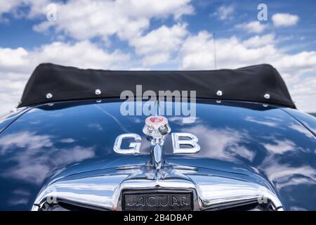 Michelstadt, Hessen, Deutschland, Jaguar XK 150, Roadster, Baujahr 1959, 3,8 Liter Verdrängung, 50er, 60er Jahre, Cabrio, Roadster, Landschaft, Außenansicht, Außenansicht, Stockfoto