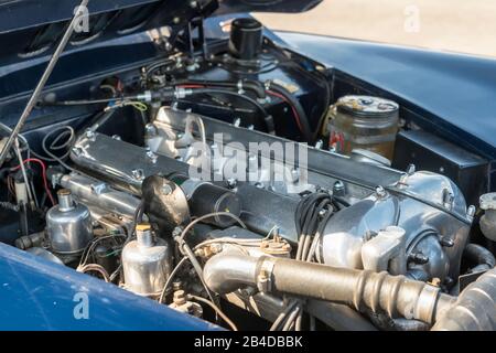 Michelstadt, Hessen, Deutschland, Motor eines Jaguar XK 150, Roadster, Baujahr 1959, 3,8 Liter Hubraum, 50er, 60er Jahre, Cabrio, Roadster, Landschaft, Außenansicht, Außenaufnahmen, Stockfoto