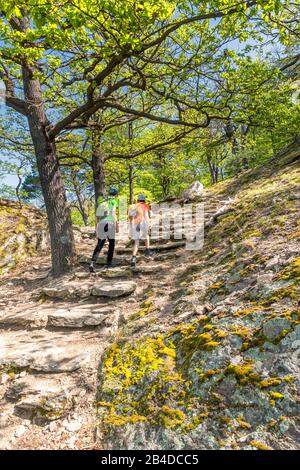Dürnstein, Wachau, Waldviertel, Krems, Oberösterreich, Österreich, Europa. Zwei Kinder wandern auf dem Welterbesteig Wachau über der Ruine Dürnstein Stockfoto