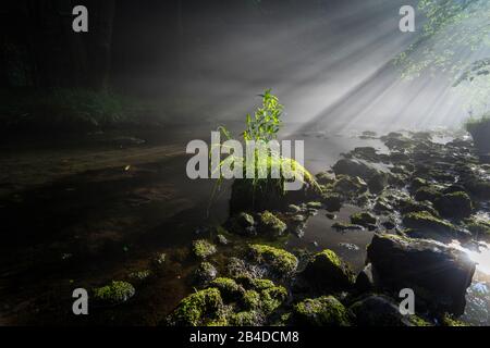 Sonnenauf- und Nebelfäden über dem Wasser eines Flusses Stockfoto