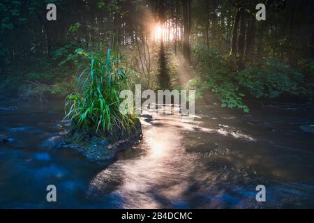 Sonnenauf- und Nebelfäden über dem Wasser eines Flusses Stockfoto