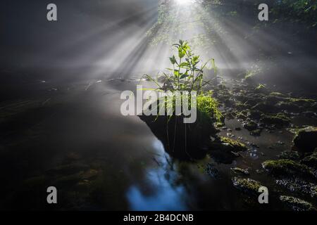 Sonnenauf- und Nebelfäden über dem Wasser eines Flusses Stockfoto