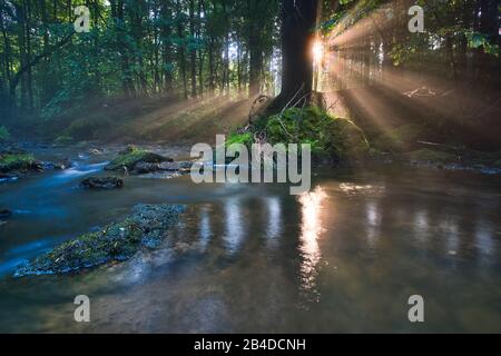 Sonnenauf- und Nebelfäden über dem Wasser eines Flusses Stockfoto