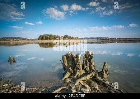 Deadwood am Ufer eines Sees mit Spiegelung schöner Wolken in der Hintergrundbeleuchtung Stockfoto