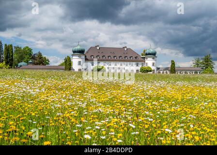 Wildblumenwiese im Schlosspark Höhenried bei Bernried am Starnberger See, Bayern, Oberbayern, Deutschland Stockfoto