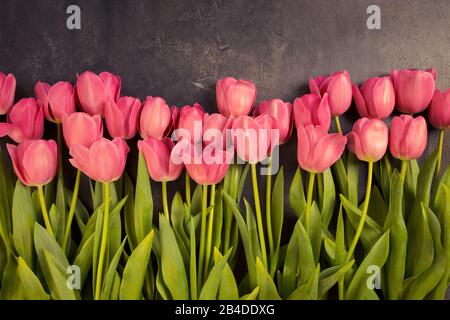 Rosa Tulpen auf dunkelgrauem Grunge Hintergrund. Copyspace. Stockfoto