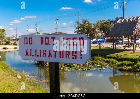 Schild, Nicht Füttern Alligatoren, Nicht Füttern, Miccosukee, Indian Village, Everglades National Park, Florida, USA, Nordamerika Stockfoto