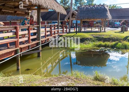 Miccosukee, Indian Village, Everglades National Park, Florida, USA, Nordamerika Stockfoto