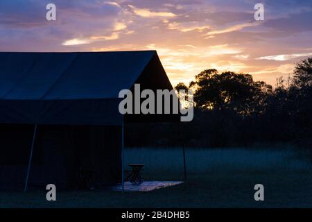 Tansania, Nordtansania, Serengeti-Nationalpark, Ngorongoro-Krater, Tarangire, Arusha und Lake Manyara, Camp bei Sonnenuntergang Stockfoto