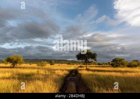 Tansania, Nordtansania, Serengeti-Nationalpark, Ngorongoro-Krater, Tarangire, Arusha und Lake Manyara, Gewitterstimmung Stockfoto