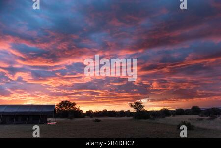 Tansania, Nordtansania, Serengeti-Nationalpark, Ngorongoro-Krater, Tarangire, Arusha und Lake Manyara, Camp bei Sonnenuntergang Stockfoto